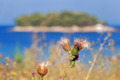 Postoji otok o&hellip;