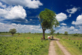 Lonjsko-idilič&hellip;