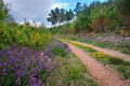 Country road t&hellip;