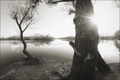 jutarnje sunce&hellip;