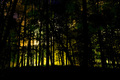 Maksimir:Ispre&hellip;