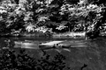 Maksimir: Jeze&hellip;