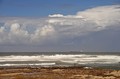 Život na ocean&hellip;