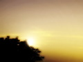 Simply romanti&hellip;