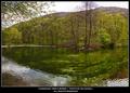 Pano, vrelo Bo&hellip;
