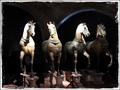Loggia dei Cav&hellip;