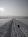 odlazak u bolj&hellip;