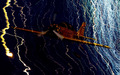 Bermuda Triang&hellip;