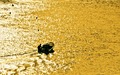18,21h - 36°C &hellip;