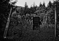 ..door to noth&hellip;
