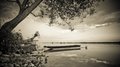 under shade of&hellip;