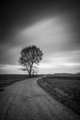 all that you c&hellip;