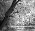 autumn IR wann&hellip;