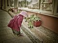 stop to smell &hellip;