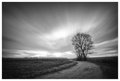 long (exposure&hellip;
