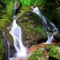 spring of eter&hellip;