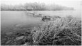 Terminal frost&hellip;