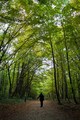 Maksimiriska š&hellip;