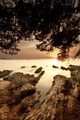 Pogled ispod b&hellip;