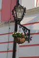 Cvijeće i ulič&hellip;