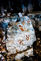Cavemen in the&hellip;