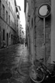 Firenza_kradlj&hellip;