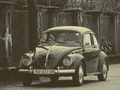 a bug's l&hellip;