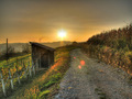 sunce na zapadu