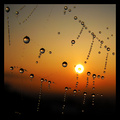 suncem okupane&hellip;