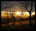 jutro u vinogr&hellip;