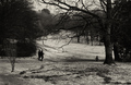 Maksimir-obite&hellip;