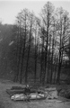 Klesarevo dvor&hellip;