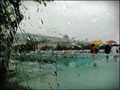 Under the rain&hellip;