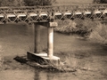 nestali