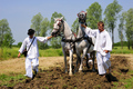 Slavonija u sr&hellip;