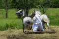 Slavonija u sr&hellip;