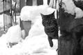 nikad stati, o&hellip;