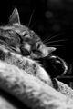 very nice, hig&hellip;