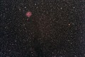 IC5146 - Cocoo&hellip;