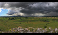 Polje s gradine