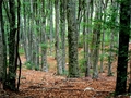 Prirodni park &hellip;