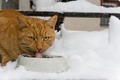 My tongue is s&hellip;