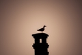 Top of the Wor&hellip;