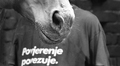 istina