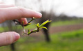 Spring is natu&hellip;