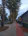 pogled.. u ned&hellip;