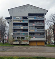 Pisanica