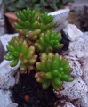 Makro mini pri&hellip;