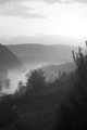 Mreznica Panor&hellip;