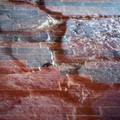Pogled kroz st&hellip;